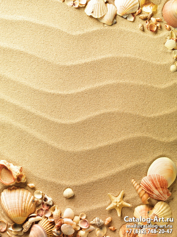 Seashells 6